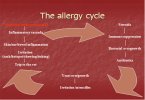 AllergyCycle.jpg