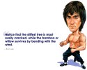 Bruce-Lee (760x611).jpg