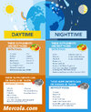 a-guide-to-supplement-timing-graphic.jpg