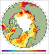 Arctic sea temperatures September 7, 2017.png