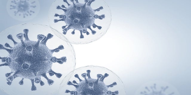 Microscope view of virus.