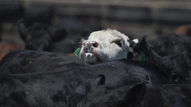 The attack may lead to meat shortages. Picture: Getty Images
