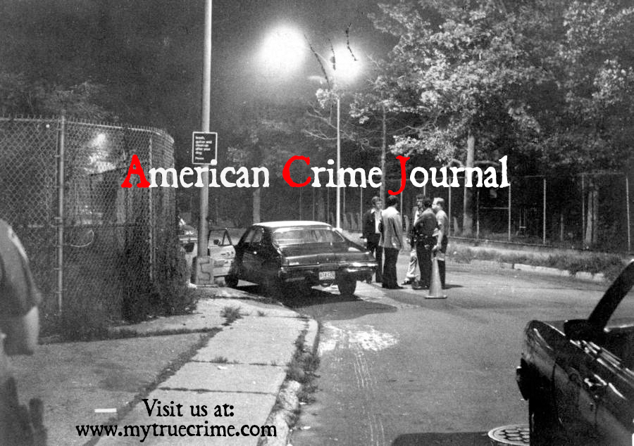 americancrimejournal.com