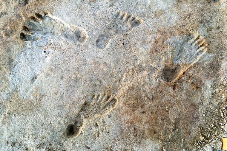 210922-ancient-footprints-jm-1411-fa0dd5.jpg