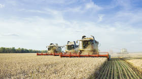 Russia's grain harvest forecast upgraded