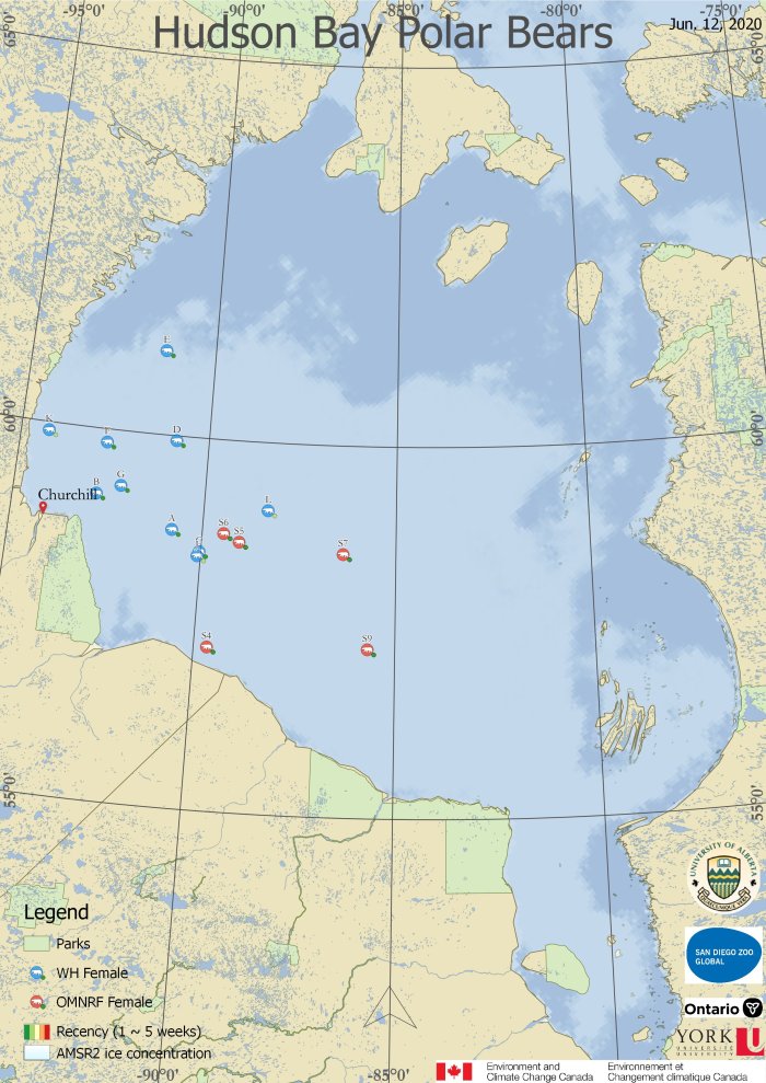 Dercocher June 12 2020 tracking map Hudson Bay
