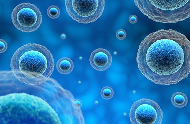 human-cells-in-a-blue-background-3d_small.jpg