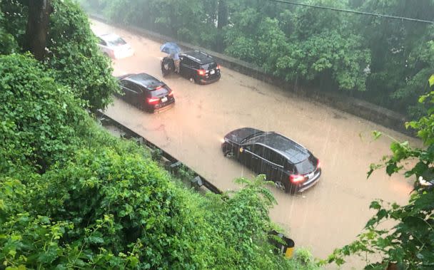 PHOTO: Numerous vehicles are submerged on Canal Road near Fletcher's Cove. (Dave Dildine/WTOP/Twitter)