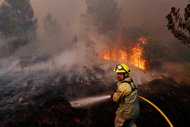 Firefighters help to put out a forest fire near the village of Vila de Rei, Portugal July 21, 2019. REUTERS/Rafael Marchante     