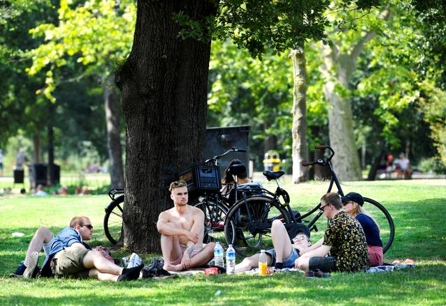 FILE PHOTO: People cool off underneath a tree during a sunny day in the Vondelpark in Amsterdam, the Netherlands, July 25, 2019. REUTERS/Piroschka van de Wouw