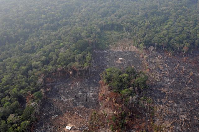 FILE PHOTO: An aerial view of a deforested plot of the Amazon near Humaita, Amazonas State, Brazil August 22, 2019. REUTERS/Ueslei Marcelino