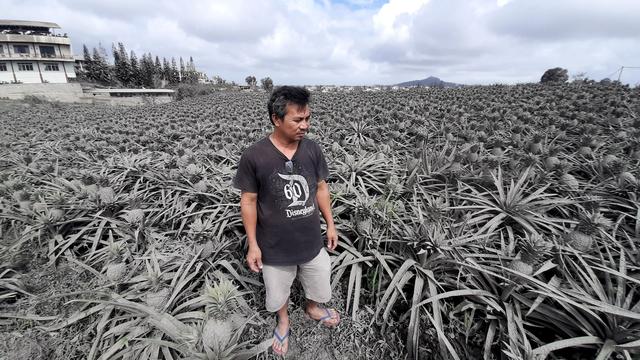 Farmer Jack Imperial, 49, poses for a portrait in his pineapple plantation covered with ash from the erupting Taal Volcano, in Tagaytay, Philippines, January 15, 2020. REUTERS/Adrian Portugal