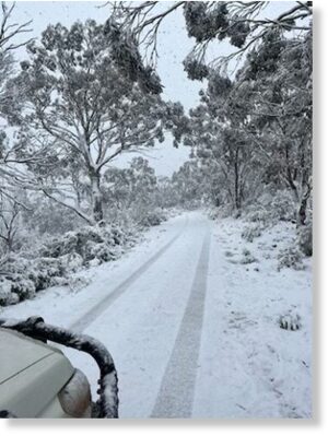Snow has even fallen in Delegate on the border between NSW and Vic.