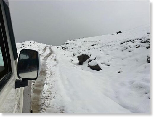 The Chanshal Pass near Rohru in Shimla district covered by a white blanket of snow on Thursday. The Chanshal Pass near Rohru in Shimla district covered by a white blanket of snow on Thursday.