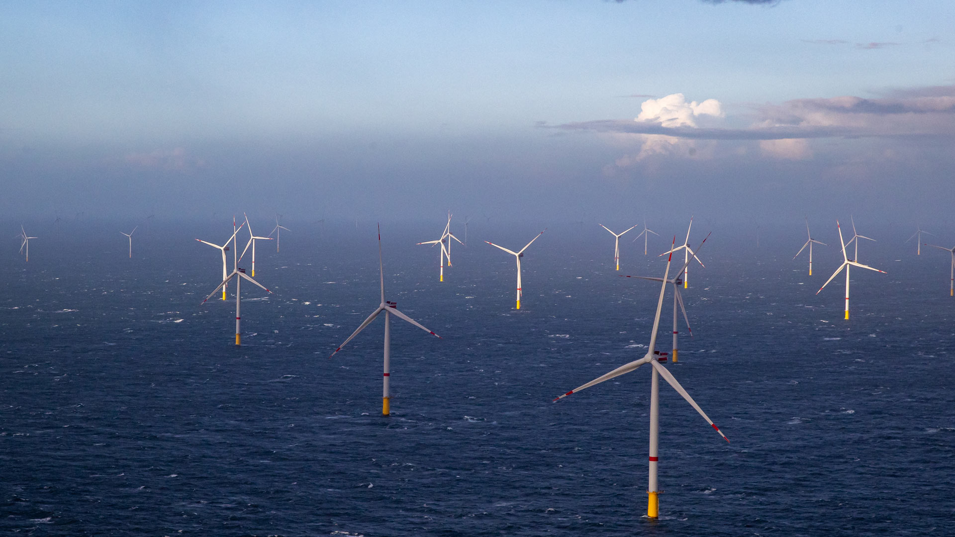Offshore wind farm in the North Sea near Ostend | picture alliance/dpa/BELGA